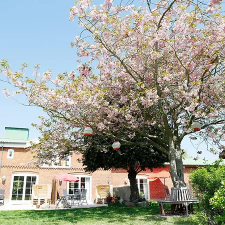 Bett In't Kornfeld - Bauernhof 
